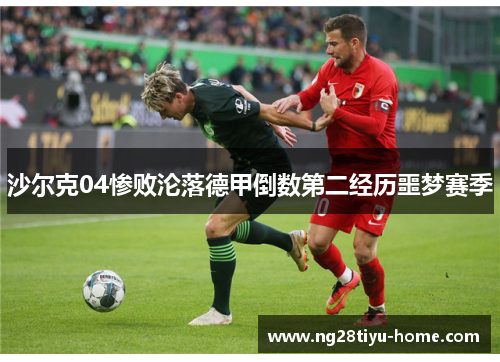 沙尔克04惨败沦落德甲倒数第二经历噩梦赛季
