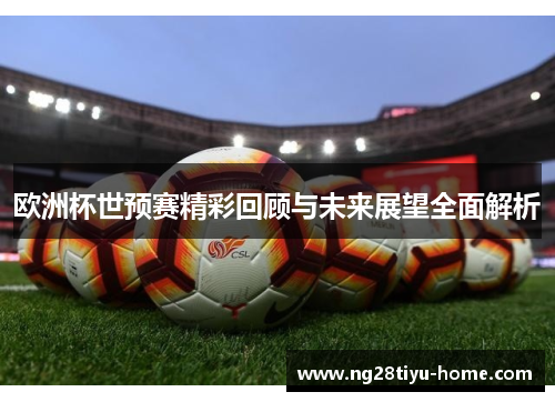 欧洲杯世预赛精彩回顾与未来展望全面解析