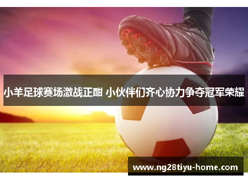 小羊足球赛场激战正酣 小伙伴们齐心协力争夺冠军荣耀